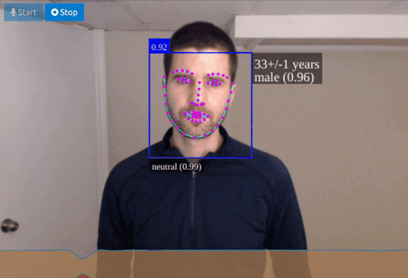 face_transcribe_demo